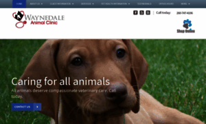 Waynedaleanimalclinic.com thumbnail