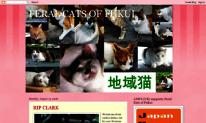 Wearechikineko.blogspot.com thumbnail