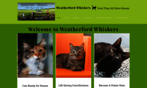 Weatherfordwhiskers.org thumbnail