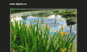 Web-digital.ru thumbnail