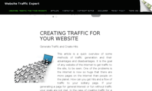 Web-site-traffic-expert.com thumbnail