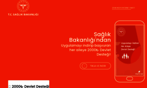 Webdevletdevletsosyalyardim.com thumbnail