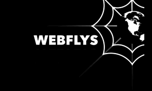 Webflys.com thumbnail