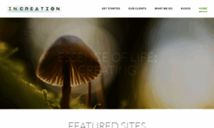 Webolution9.com thumbnail