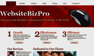 Websitebizpro.com thumbnail