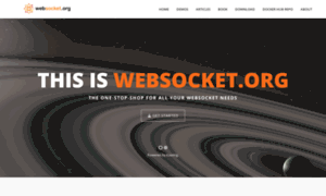 Websockets.org thumbnail