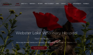 Websterlakevet.com thumbnail