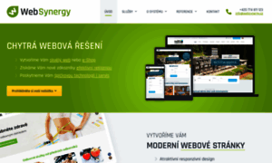 Websynergy.cz thumbnail