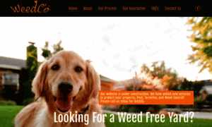 Weedco.services thumbnail