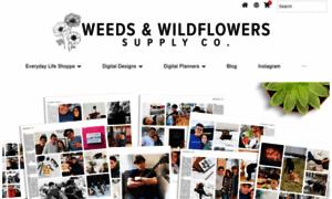 Weedsandwildflowersdesign.com thumbnail