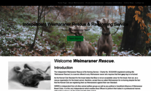 Weimaraner-rescue.org.uk thumbnail