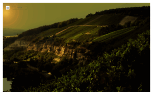 Weingut-am-stein.de thumbnail