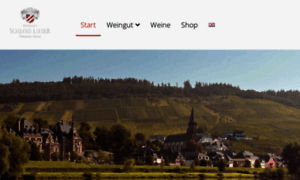 Weingut-schloss-lieser.de thumbnail