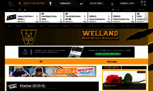 Wellandminorhockey.com thumbnail