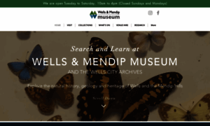 Wellsmuseum.org.uk thumbnail