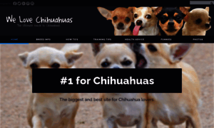 Welovechihuahuas.com thumbnail
