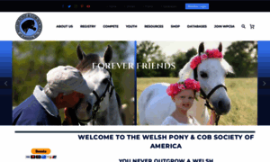 Welshpony.org thumbnail