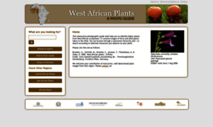 Westafricanplants.senckenberg.de thumbnail