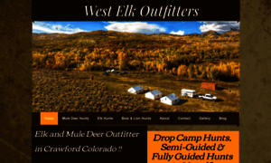 Westelkoutfitters.com thumbnail