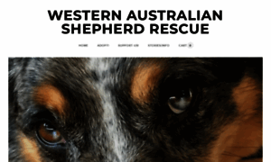 Westernaustralianshepherdrescue.com thumbnail