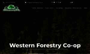 Westernforestrycoop.ie thumbnail