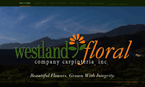 Westlandfloral.com thumbnail