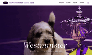 Westminsterkennelclub.org thumbnail