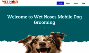 Wetnosesgrooming.com thumbnail