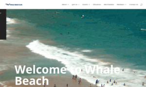 Whalebeachslsc.com thumbnail
