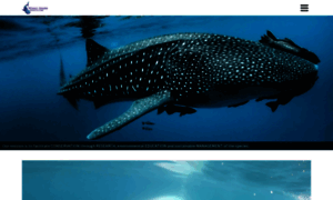 Whalesharkmexico.com thumbnail