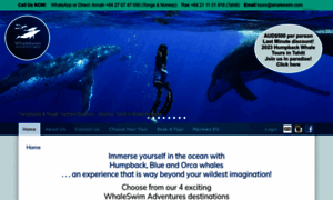 Whaleswim.com thumbnail