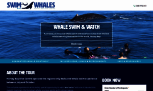 Whaleswimsherveybay.com.au thumbnail