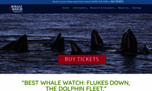 Whalewatch.com thumbnail
