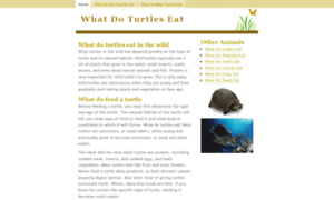 What-do-turtles-eat.info thumbnail