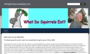 Whatdosquirrelseat.com thumbnail