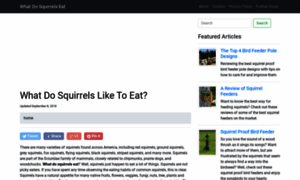 Whatdosquirrelseat.org thumbnail