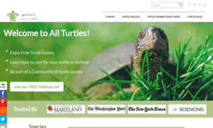 Whatdoturtleseatinfo.com thumbnail