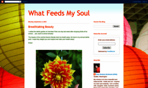 Whatfeedsmysoul-aha.blogspot.com thumbnail