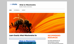 Whatismitochondria.com thumbnail