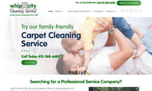 Whipcitycleaning.com thumbnail
