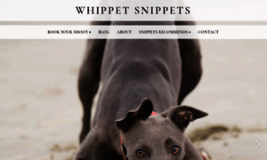 Whippetsnippets.co.uk thumbnail