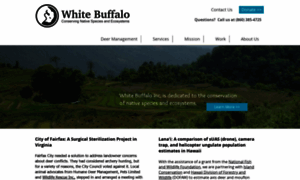 Whitebuffaloinc.org thumbnail