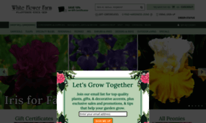 Whiteflowerfarm.com thumbnail