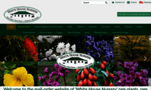 Whitehousenursery.com.au thumbnail