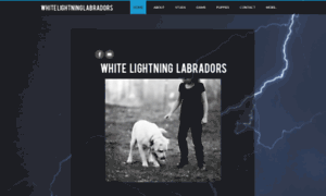 Whitelightninglabs.weebly.com thumbnail