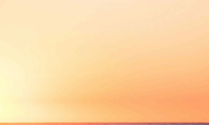 Whitemango.in thumbnail