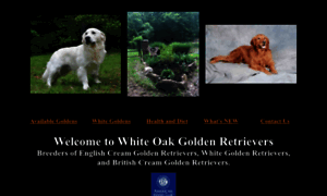 Whiteoakgoldenretrievers.com thumbnail