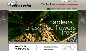 Whiteorchid-marbella.com thumbnail