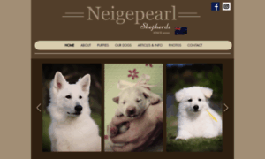 Whiteshepherd.com.au thumbnail