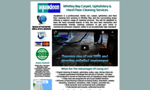 Whitleybaycarpetcleaners.co.uk thumbnail